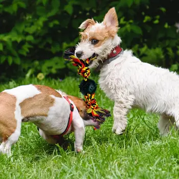 Köpek Halat Oyuncakları İnteraktif Çiğnemek Oyuncaklar Küçük Köpekler İçin Koruyucu Köpek Oyuncak Yumuşak Diş Çıkarma Oyuncak Güvenli Evcil Hayvan Oyuncakları Eğitim Evcil Oral